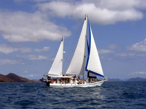 Adventure, Cruise, Dive And Outer Reef - Whitsundays Sailing Adventures - Tourism TAS 6
