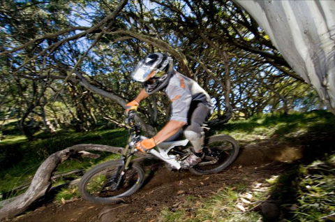 All Terrain Cycles - Tourism TAS 0