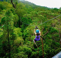 Canyon Flyer - Tourism TAS