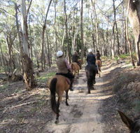 Silver Brumby Trails - Tourism TAS