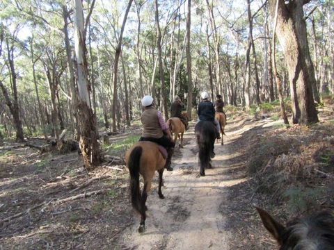 Silver Brumby Trails - Tourism TAS 0