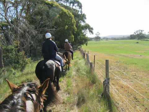 Silver Brumby Trails - Tourism TAS 1