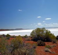 Gawler Ranges Wilderness Safaris - Tourism TAS