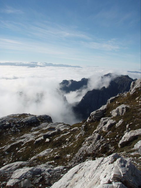 Trek Tasmania - Hobart Tourism 5