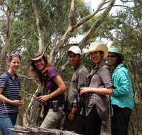 Echidna Walkabout Nature Tours - Tourism TAS