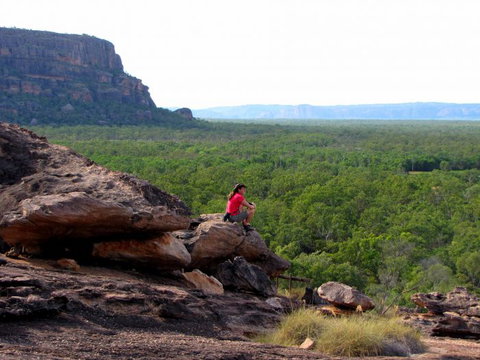 Echidna Walkabout Nature Tours - Tourism TAS 21
