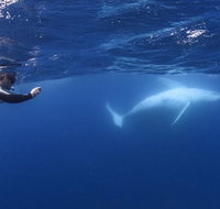 Sunreef Mooloolaba - Tourism TAS