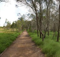 Billai dhagun Circuit Place of She-Oaks - Hobart Tourism