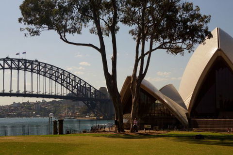 Go Local Tours - Tourism TAS 19