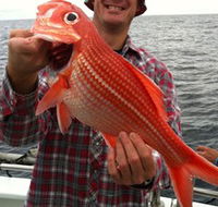 Goin' Off Safaris - Hobart Tourism