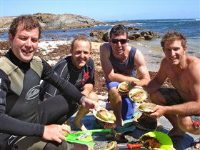 Goin' Off Safaris - Tourism TAS 13