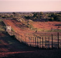Tri State Safaris - Hobart Tourism