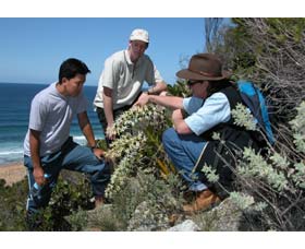 Sapphire Coast Ecotours - Tourism TAS 1