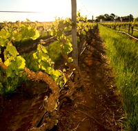 Kaesler Old Vine Vineyard Tour - Hobart Tourism