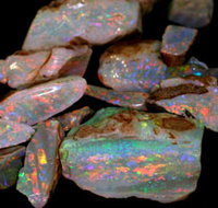 Arid Areas Tours - Tourism TAS