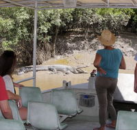 Whitsunday Crocodile Safari - Tourism TAS