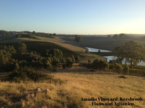 La Prova Wines - Tourism TAS 3