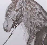 Great Lakes Art Society - Tourism TAS