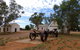 Hermannsburg Historical Precinct - thumb 1