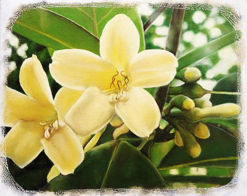 Claire Souter Gallery - Tourism TAS 1