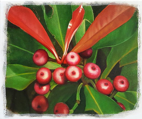 Claire Souter Gallery - Tourism TAS 2