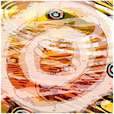 Kingstudio Art & Design Gallery - Tourism TAS 3