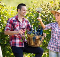 Two Tails Wines - Hobart Tourism
