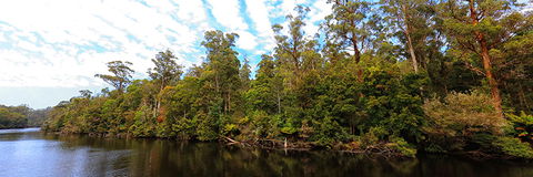 A R Reflections River Cruises - Tourism TAS 0
