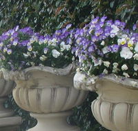 Gardenalia Open Garden and Rare Plant Nursery - Hobart Tourism