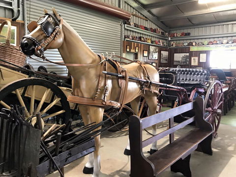 Yamba Tours And Charters - Hobart Tourism 9
