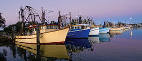 Yamba Tours And Charters - Hobart Tourism 14