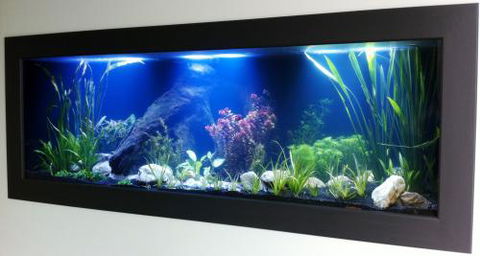 Aquariums In Cairns - Tourism TAS 0