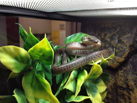 Pets Wonderland - Hobart Tourism 3