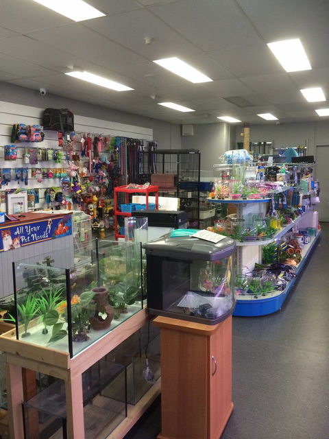 Nambour Pet Shop - Tourism TAS 0