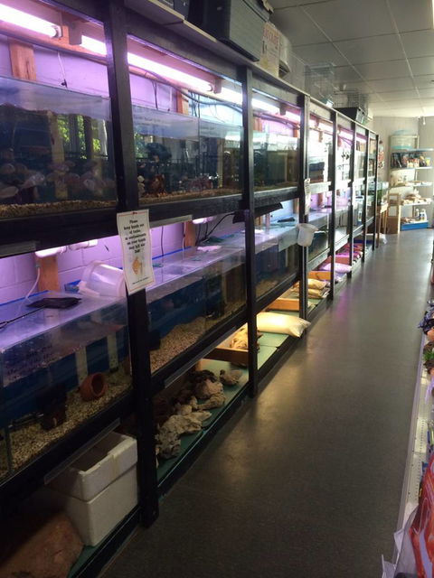 Nambour Pet Shop - Tourism TAS 1