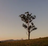 Faulls Ridge Winery - Tourism TAS