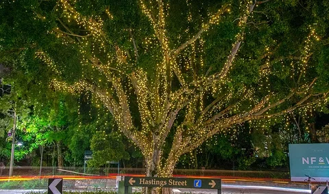 The Sunshine Coast Tour Company - Tourism TAS 3