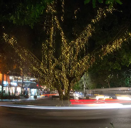 The Sunshine Coast Tour Company - Tourism TAS 2