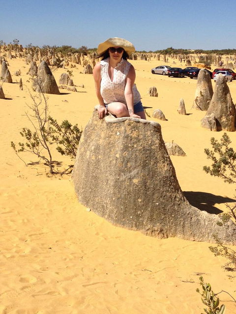 Pinnacles Desert, Koalas And Sandboarding 4WD Day Tour From Perth - Hobart Tourism 18