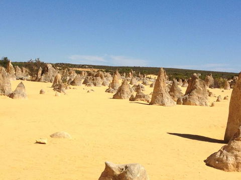 Pinnacles Desert, Koalas And Sandboarding 4WD Day Tour From Perth - Hobart Tourism 15