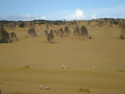 Pinnacles Desert, Koalas And Sandboarding 4WD Day Tour From Perth - Hobart Tourism 23