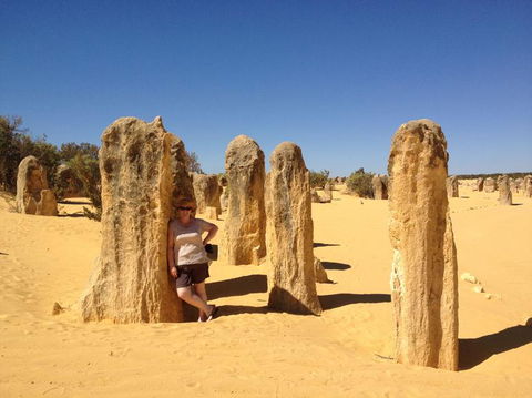 Pinnacles Desert, Koalas And Sandboarding 4WD Day Tour From Perth - Hobart Tourism 17