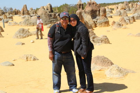 Pinnacles Desert, Koalas And Sandboarding 4WD Day Tour From Perth - Hobart Tourism 12