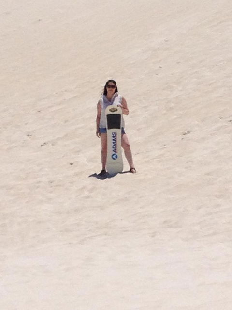 Pinnacles Desert, Koalas And Sandboarding 4WD Day Tour From Perth - Hobart Tourism 21