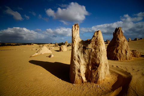 Pinnacles Desert, Koalas And Sandboarding 4WD Day Tour From Perth - Hobart Tourism 6