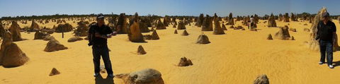 Pinnacles Desert, Koalas And Sandboarding 4WD Day Tour From Perth - Hobart Tourism 11