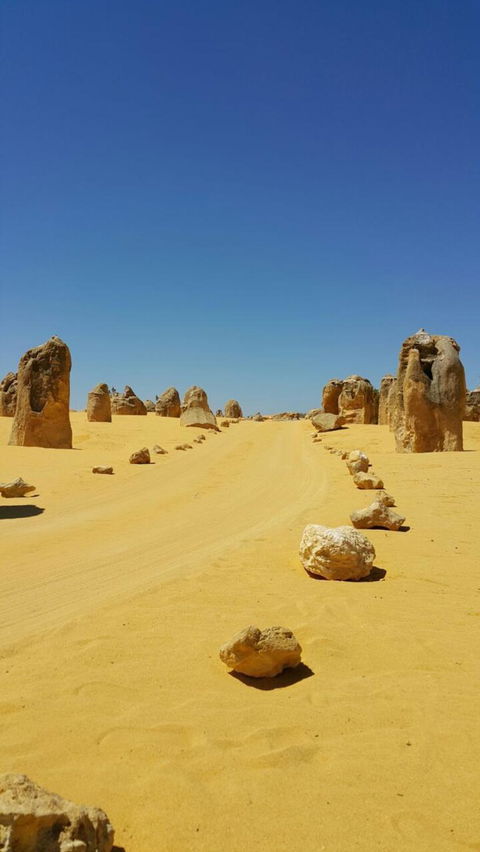 Pinnacles Desert, Koalas And Sandboarding 4WD Day Tour From Perth - Hobart Tourism 3