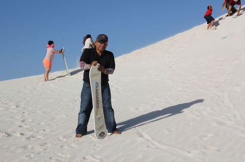 Pinnacles Desert, Koalas And Sandboarding 4WD Day Tour From Perth - Hobart Tourism 9