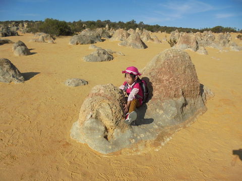 Pinnacles Desert, Koalas And Sandboarding 4WD Day Tour From Perth - Hobart Tourism 7