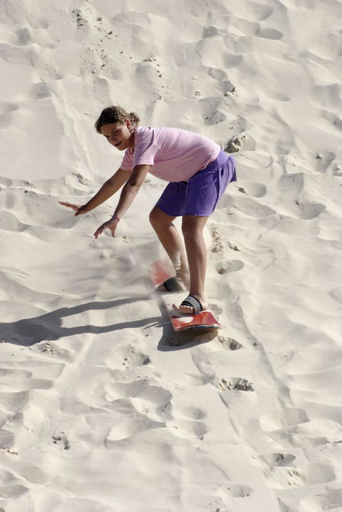 Pinnacles Desert, Koalas And Sandboarding 4WD Day Tour From Perth - Hobart Tourism 24